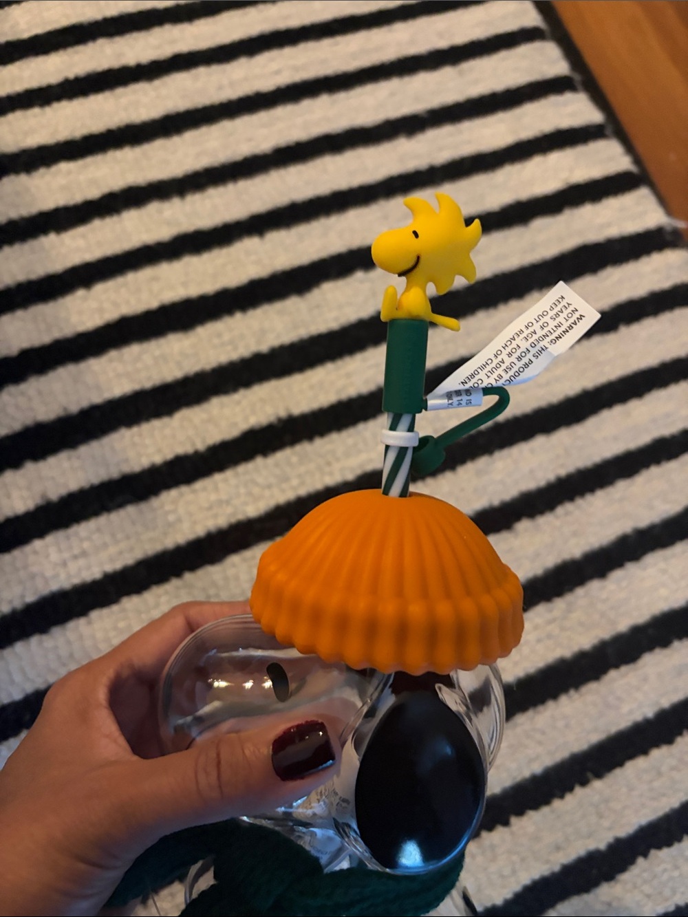 NWT Starbucks x Snoopy with Orange Hat and Green Scarf Accents - Picture 4 of 4